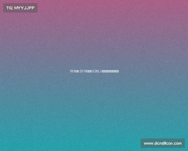 18.8万的 2018款宝马 528Li 上市特别版值得入手吗？